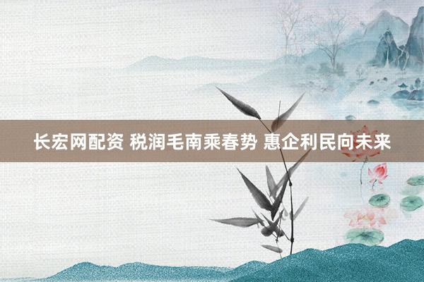 长宏网配资 税润毛南乘春势 惠企利民向未来