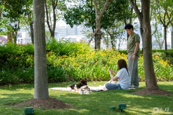 东兴资本配资 城事｜不必人挤人，黄浦江畔携家带宠扎帐篷享美好假期