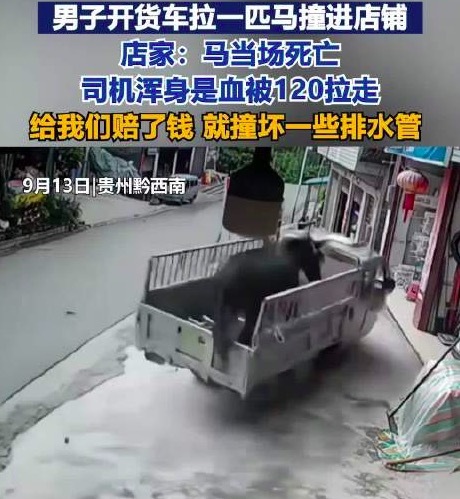 泰安配资 拉马货车撞进店铺马当场死亡 店主回应
